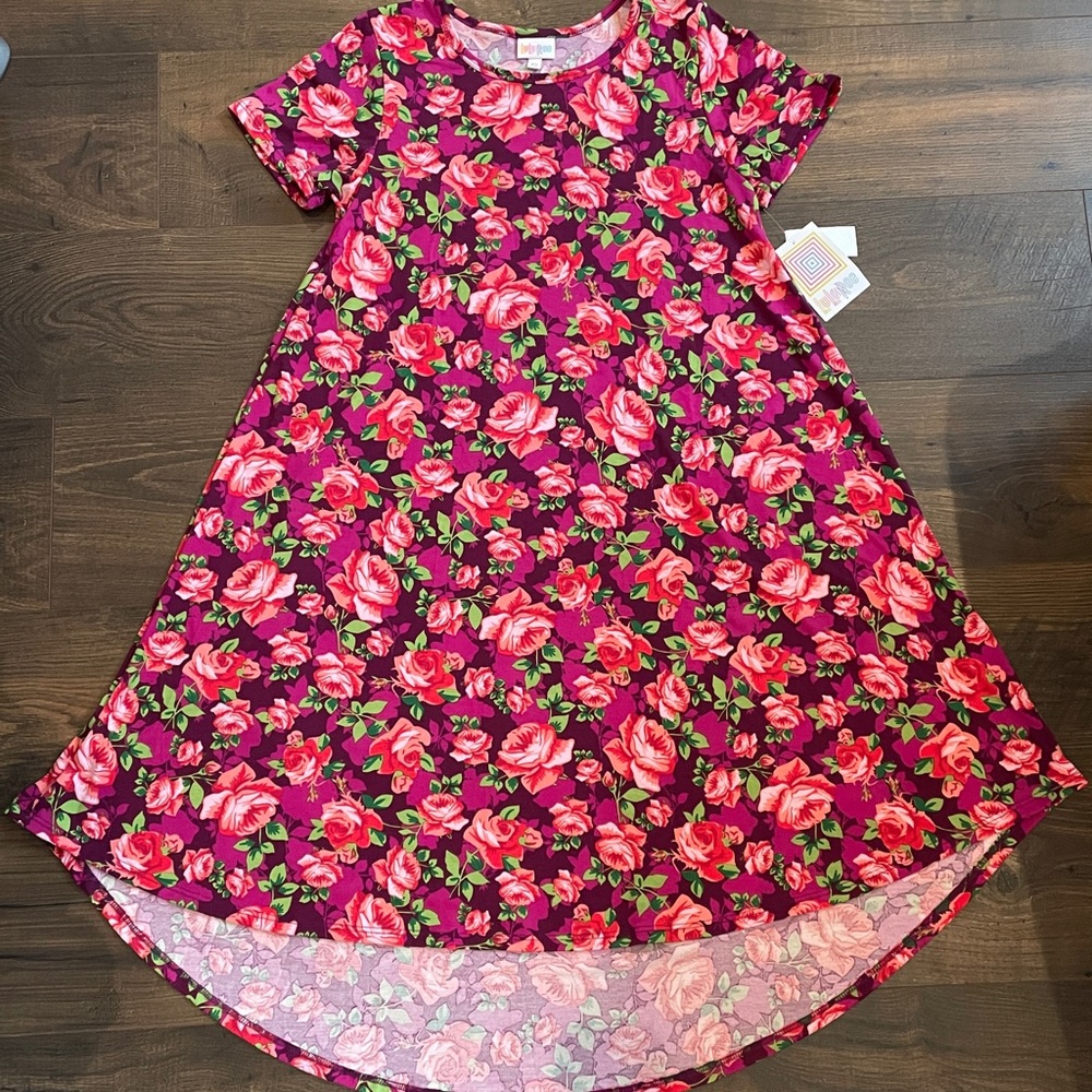 Lularoe NWT Carly Floral Dress Size XS